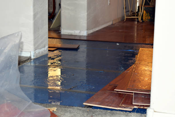 Professional Flood Damage Repair technician working in Malone, TX